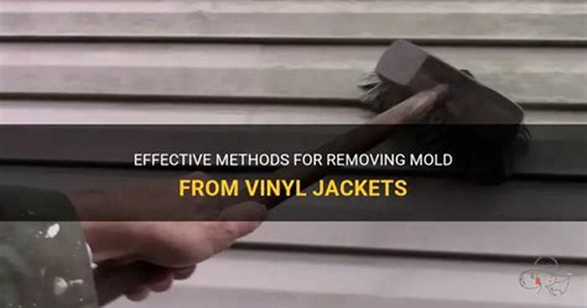 How to Remove Mold from Vinyl