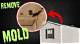 How to Remove Mold in Mobile Homes