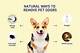 How to Remove Outdoor Pet Odors with Home Remedies