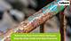 How to Remove Rust from the Inside of a Toilet Tank