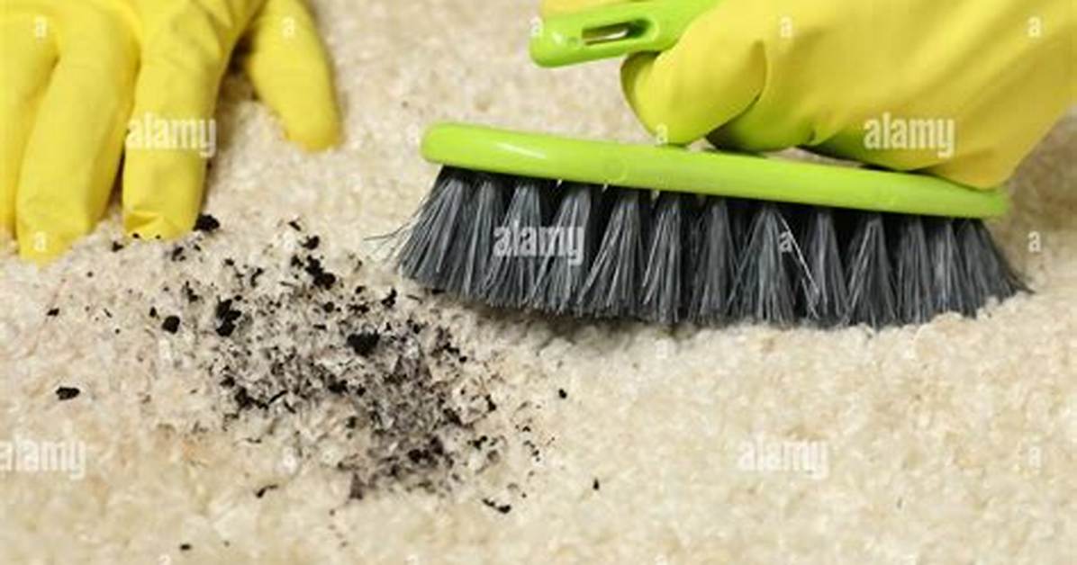 How to Remove Stains from Beige