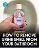 How to Remove the Smell of Urine & Feces from Laundry