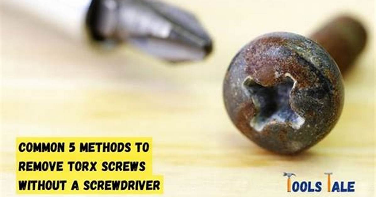 How to Remove Torx Screws From