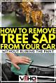 How to Remove Tree Sap from Vinyl