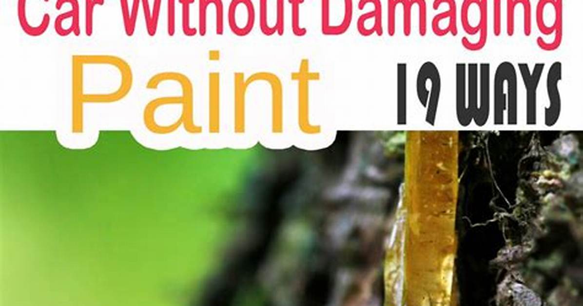 How to Remove Tree Sap From