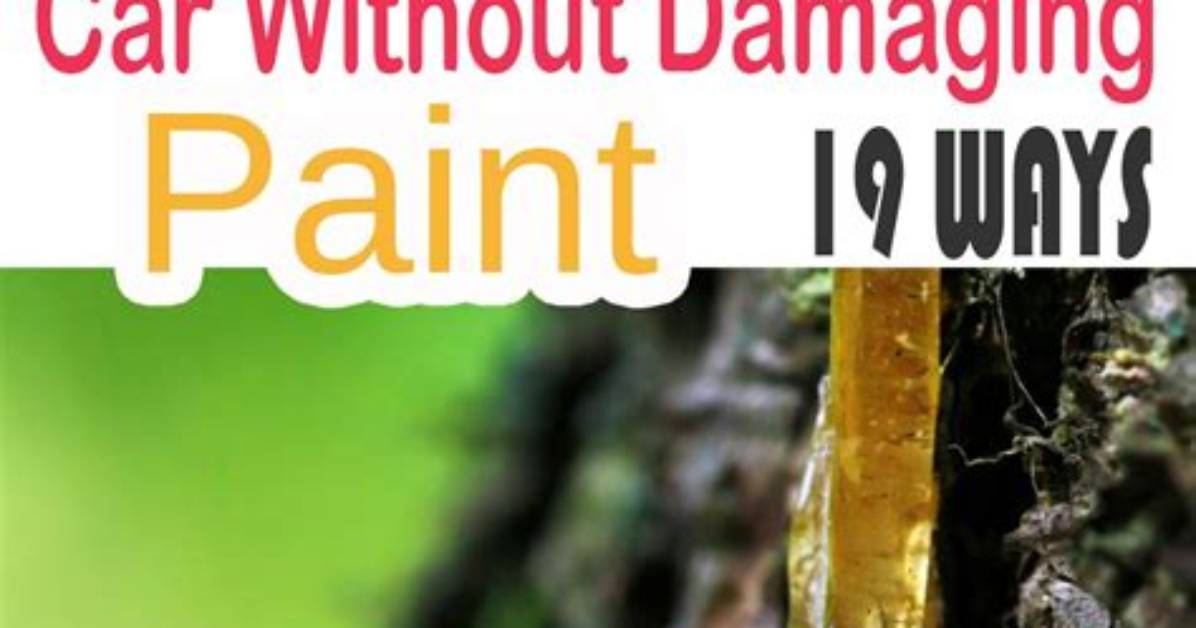 How to Remove Tree Sap