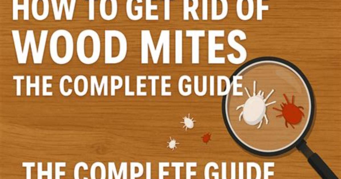 How to Remove Wood Mites from a Wood