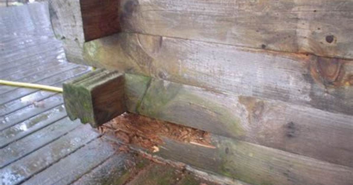 How to Repair a Broken Log