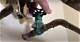 How to Repair a Leaking Water Shutoff Valve