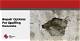 How to Repair Spalled Concrete Basement Walls