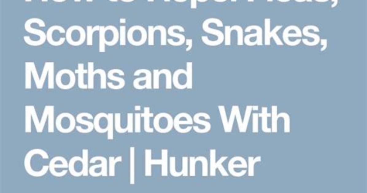 How to Repel Fleas Scorpions Snakes Moths and Mosquitoes With