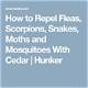 How to Repel Fleas, Scorpions, Snakes, Moths and Mosquitoes with Cedar
