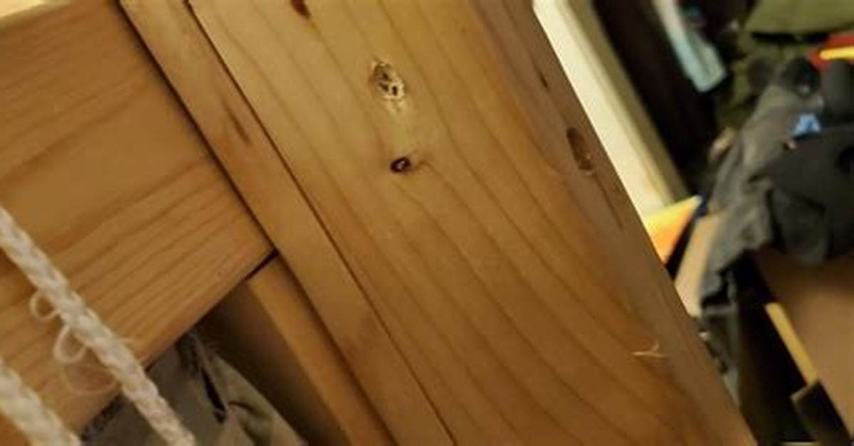 How to Replace Screws That Hold the Flange to The