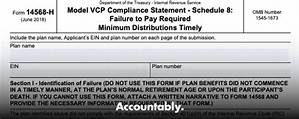 How to Report a Rmd Failure to the Irs?