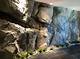 How to Rock an Interior Wall