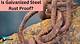 How to Rust Proof Steel