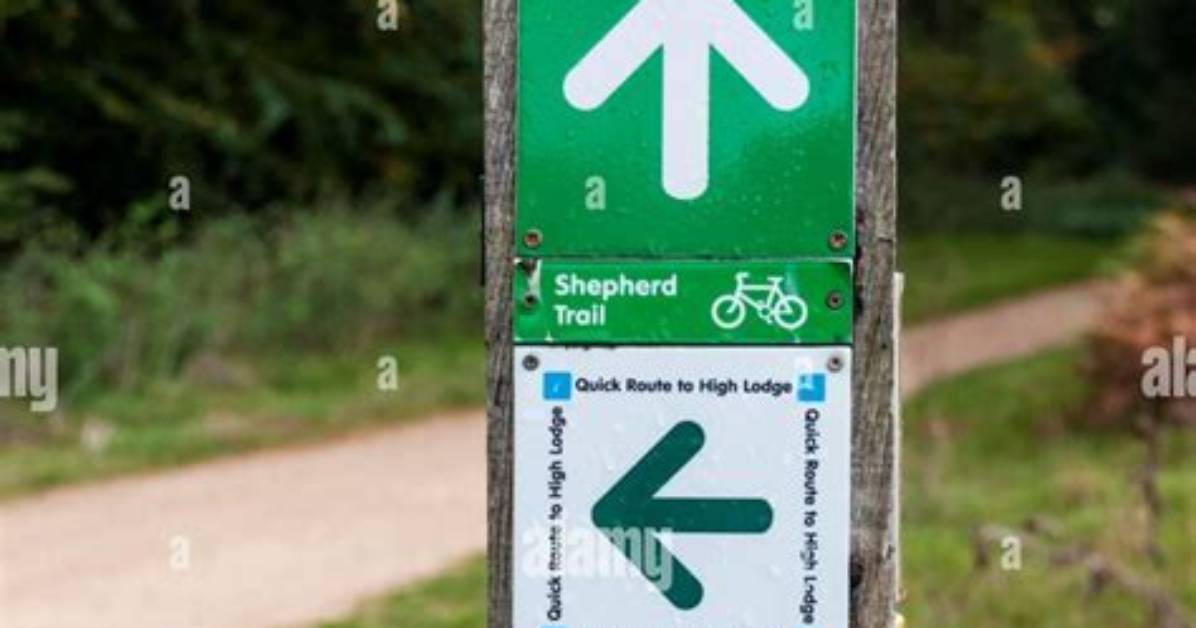 How to Save Waymarks?