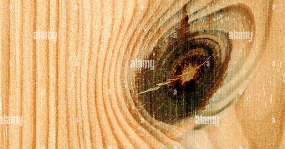 How to Seal Pine Knots For
