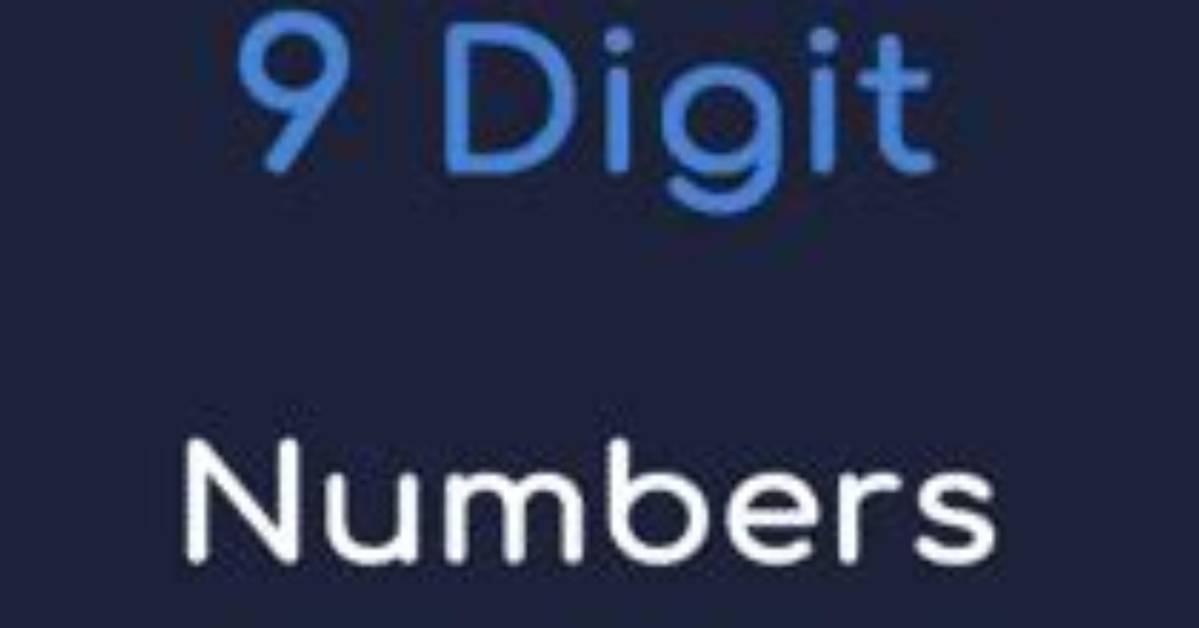 How to Solve the 9 Digit Number Puzzle?