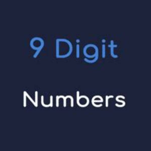 How to Solve the 9 Digit Number Puzzle?