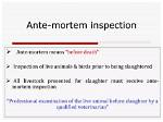 How to Spell Ante-Mortem?