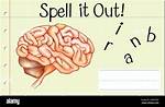 How to Spell Brain