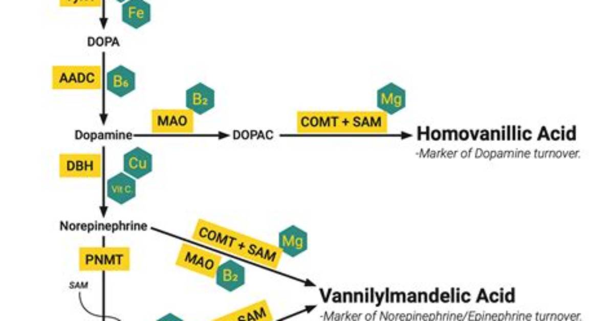 How to Spell Vanillylmandelic Acid?