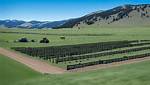 How to Start a Cattle Ranch from Scratch