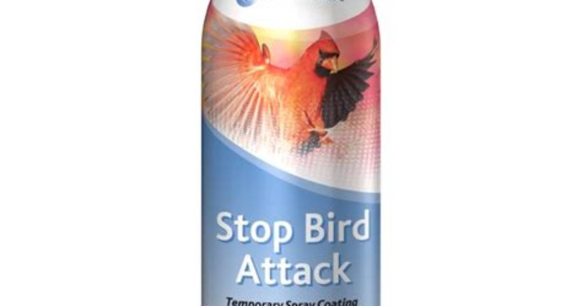 How to Stop a Bird From