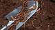 How to Stop Earthworms in Basements