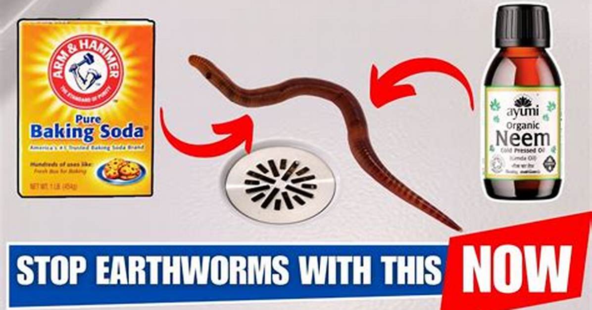 How to Stop Earthworms In