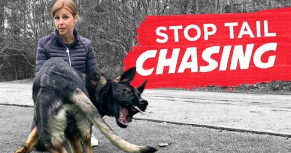 How to Stop Tail Chasing?