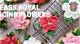 How to Store Royal Icing Flowers