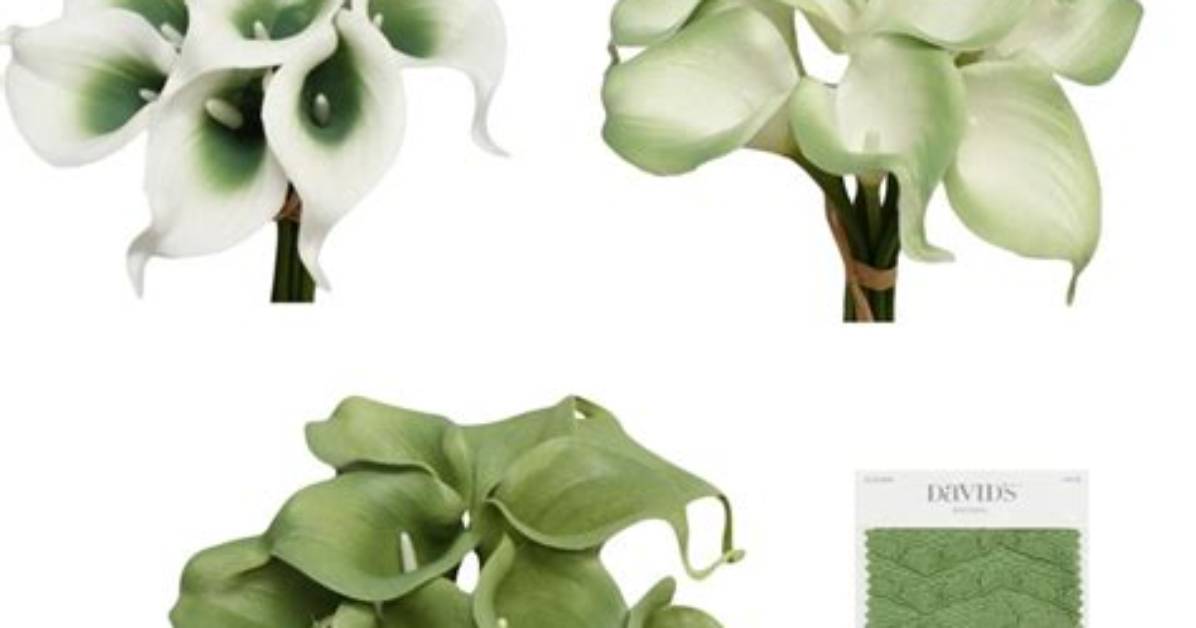How to Submerge Calla Lilies