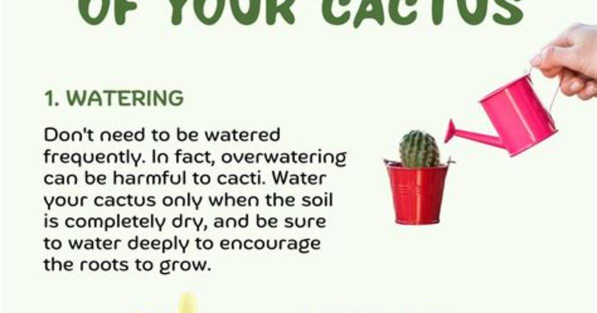 How to Take Care of a Spring-Fed Pond