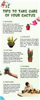 How to Take Care of a Spring-Fed Pond