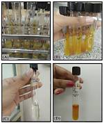 How to Test for Acetoin?