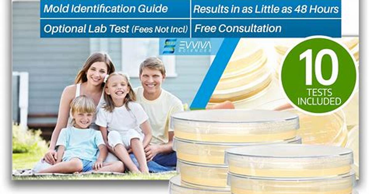 How to Test for Mold In