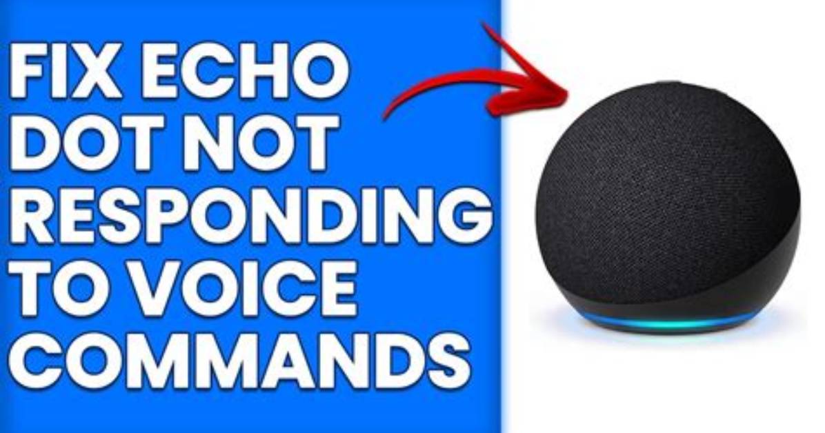 How to Troubleshoot an Echo