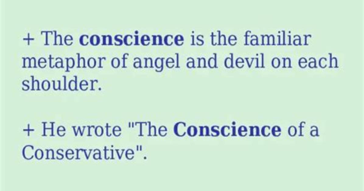 How to Use Conscience in a Sentence?