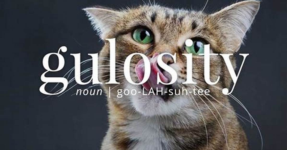 How to Use Gulosity?