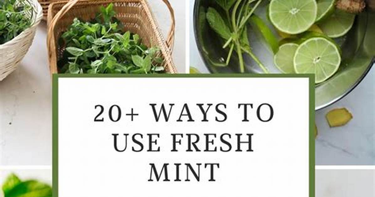 How to Use Mint as An