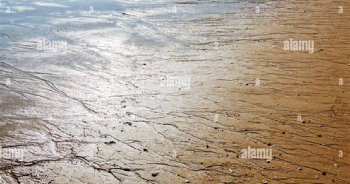 How to Wet Sand