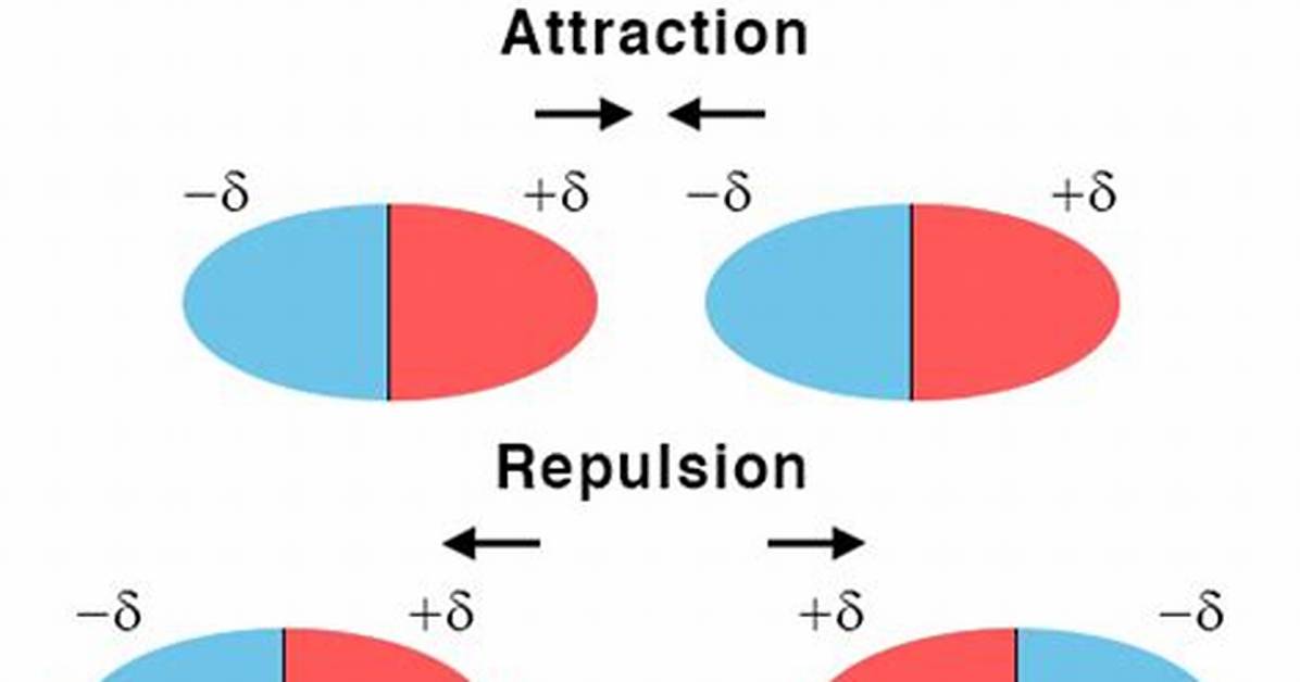 【How-To】What Causes Dipole Dipole Forces Apex