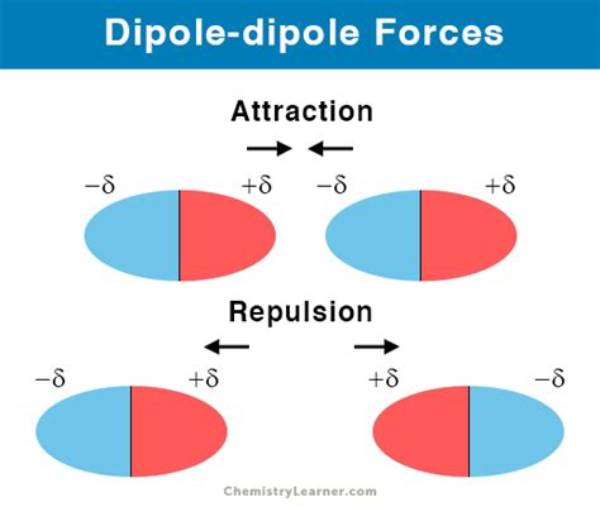 【How-To】What Causes Dipole Dipole Forces Apex
