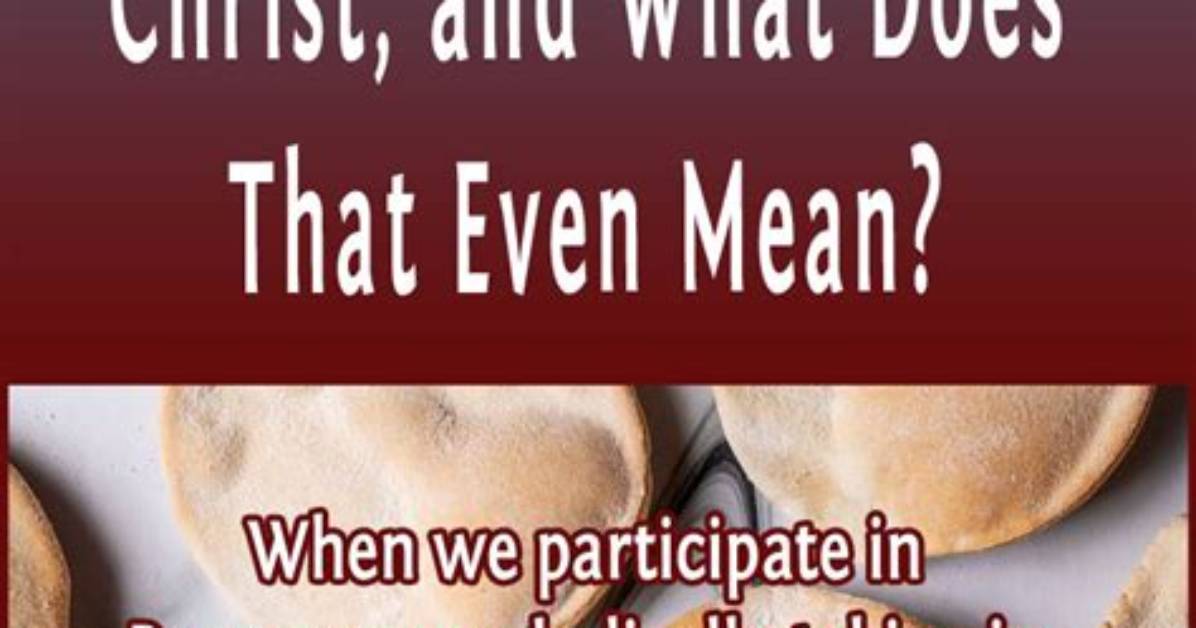 【How-To】What Did Jesus Mean Feed My Sheep