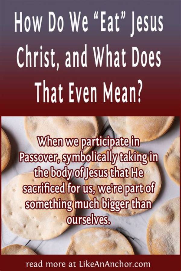 【How-To】What Did Jesus Mean Feed My Sheep