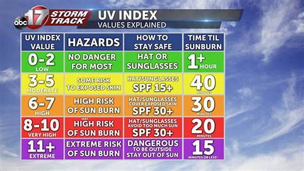 【How-To】What Does Uv Index 10 of 10 Mean