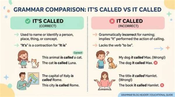 【How-To】What Is It Called When You Never Lie