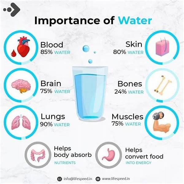 【How-To】Why Do I Have Water in My Crisper Drawer